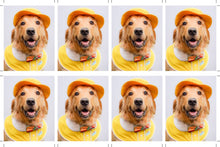 Load image into Gallery viewer, Impossible Golden Retrievers - ID photo version
